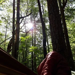 Meet your Posher, David michael